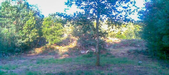 Terrain à Mundao, Portugal No. 49749 5