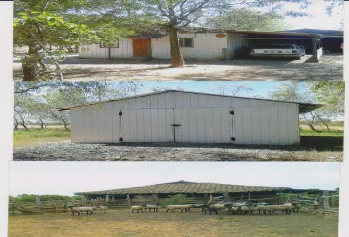  Land in Biobio, Chile No. 662