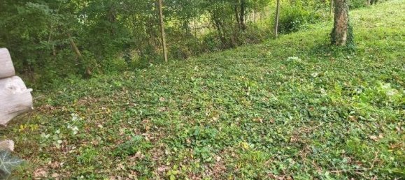 Земельный участок в Rastatt, Германия № 292311 3