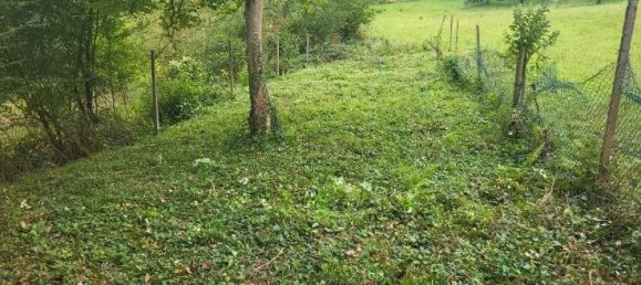 Земельный участок в Rastatt, Германия № 292311 5