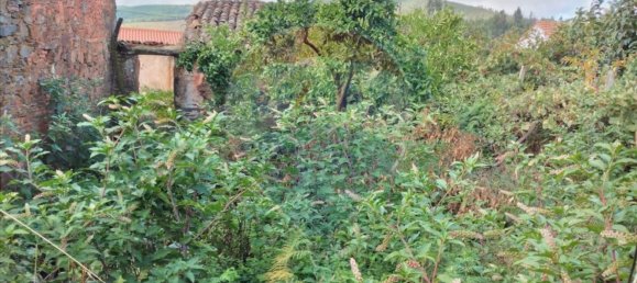 3 bedrooms House in Troviscal, Portugal No. 31473 9