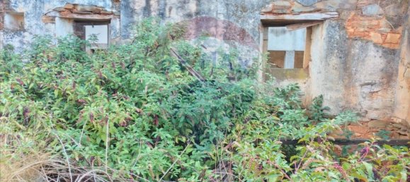 3 bedrooms House in Troviscal, Portugal No. 31473 4