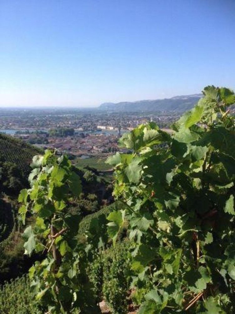 Oficina en Mauves, France 80 m² No. 19071