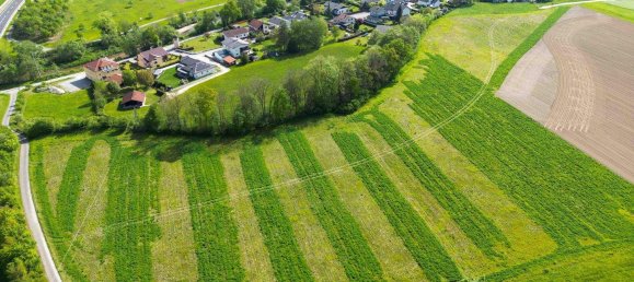 Terreno en Altheim, Austria No. 15108 3