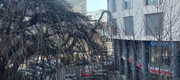 Estudio en Como, Italy No. 319628 13