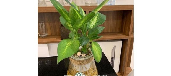 2 bedrooms Apartment in Nam Tu Liem, Vietnam No. 1004 10