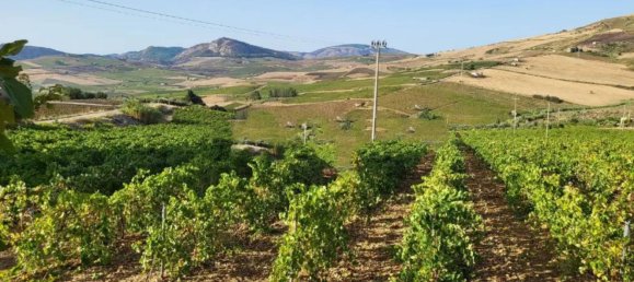 3 rooms House in Castellammare del Golfo, Italy No. 146426 3