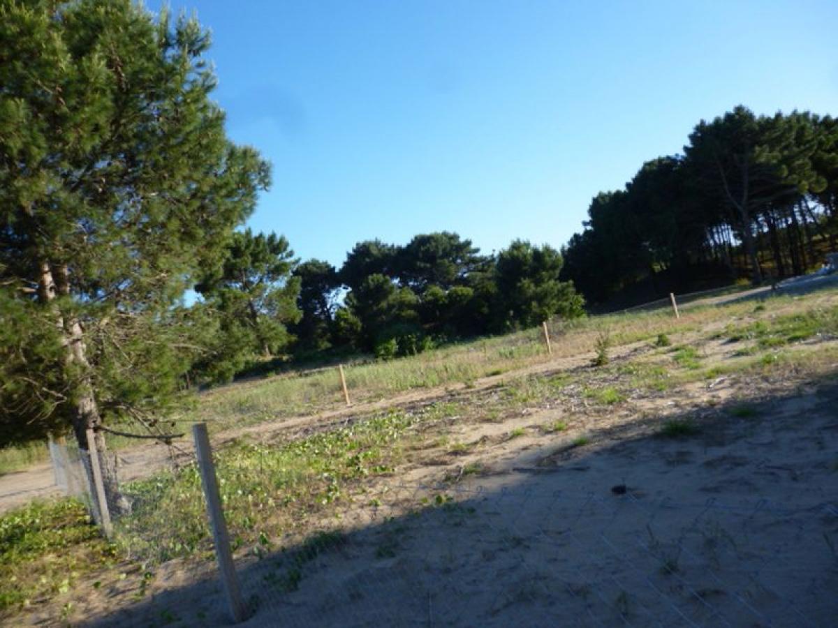 Земельный участок в Мар-дель-Плата, Аргентина № 114455