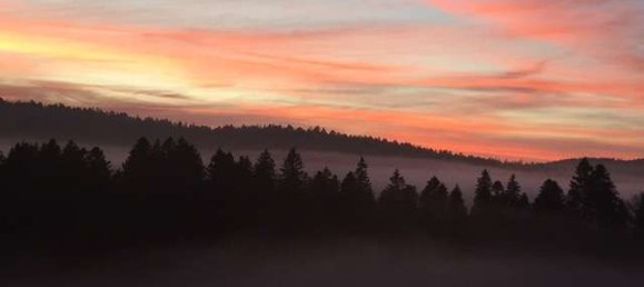 12 rooms Hotel in Baden-Wurttemberg, Germany No. 14306 15