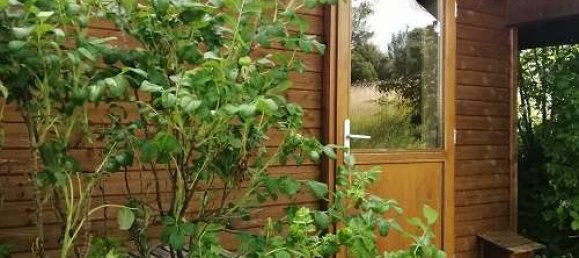 12 rooms Hotel in Baden-Wurttemberg, Germany No. 14306 20