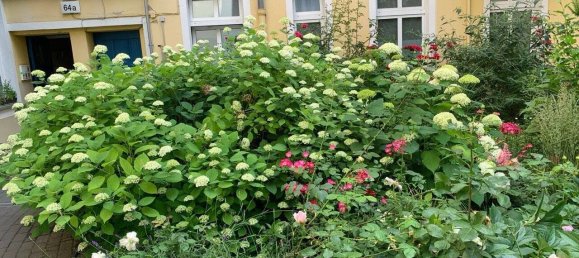 3غرفة شقة في Neukolln, Germany رقم 55352 2