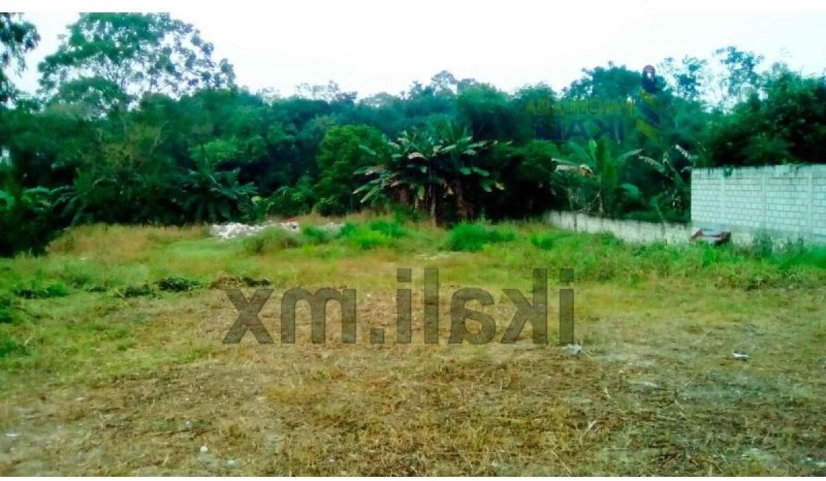  Land in Veracruz, Mexico No. 203766