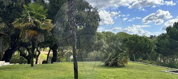 9 غرف نوم منزل في Benavente, Portugal رقم 173421 7