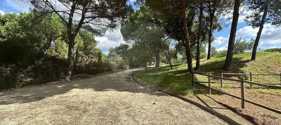 9 غرف نوم منزل في Benavente, Portugal رقم 173421 10