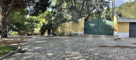 9 غرف نوم منزل في Benavente, Portugal رقم 173421 29