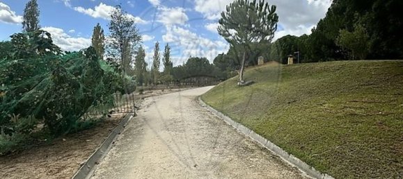 9 غرف نوم منزل في Benavente, Portugal رقم 173421 11