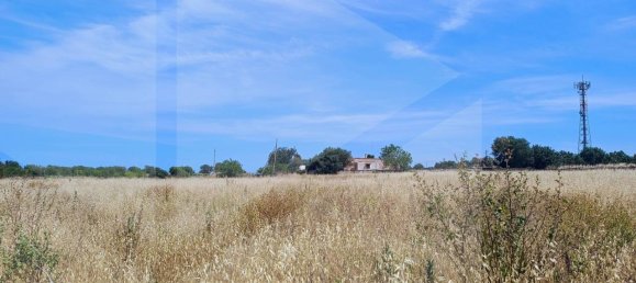2-salle Terrain à Polignano a Mare, Italy No. 29393 23