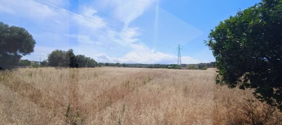 2-salle Terrain à Polignano a Mare, Italy No. 29393 8
