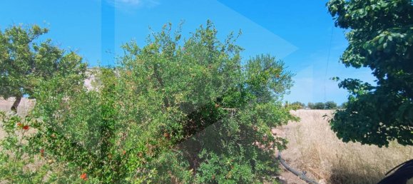 2-salle Terrain à Polignano a Mare, Italy No. 29393 20