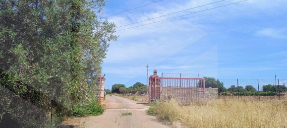2-salle Terrain à Polignano a Mare, Italy No. 29393 12