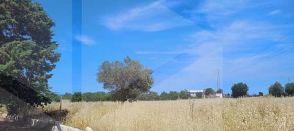 2-salle Terrain à Polignano a Mare, Italy No. 29393 50