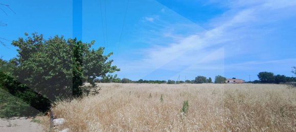 2-salle Terrain à Polignano a Mare, Italy No. 29393 17