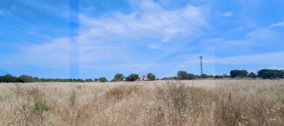2-salle Terrain à Polignano a Mare, Italy No. 29393 24