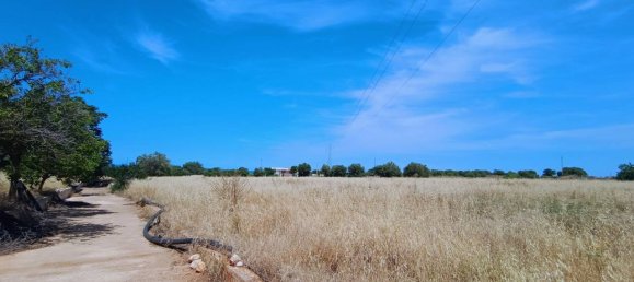 2-salle Terrain à Polignano a Mare, Italy No. 29393 36