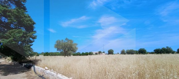 2-salle Terrain à Polignano a Mare, Italy No. 29393 49