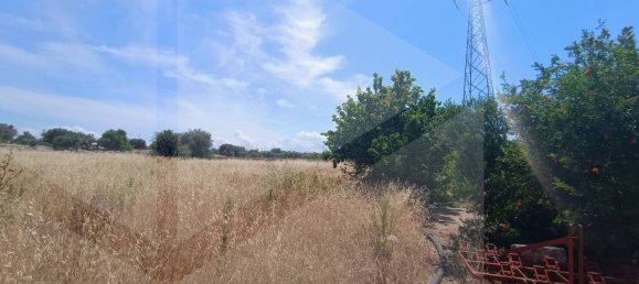 2-salle Terrain à Polignano a Mare, Italy No. 29393 21