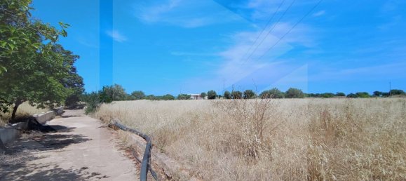 2-salle Terrain à Polignano a Mare, Italy No. 29393 38