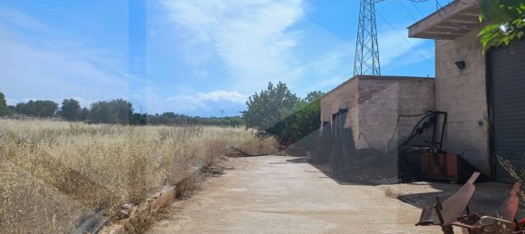 2-salle Terrain à Polignano a Mare, Italy No. 29393 42