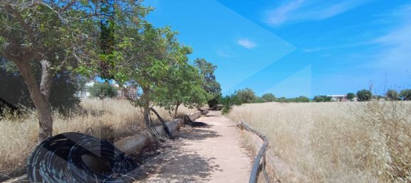 2-salle Terrain à Polignano a Mare, Italy No. 29393 40