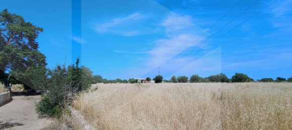 2-salle Terrain à Polignano a Mare, Italy No. 29393 44
