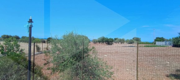 2-salle Terrain à Polignano a Mare, Italy No. 29393 9