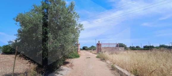 2-salle Terrain à Polignano a Mare, Italy No. 29393 11
