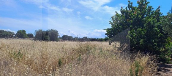 2-salle Terrain à Polignano a Mare, Italy No. 29393 22