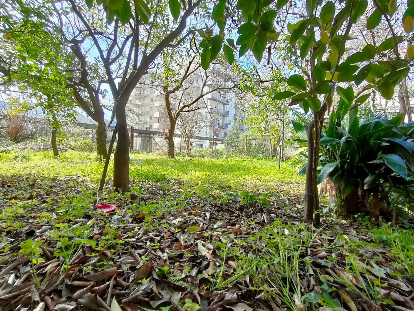 3غرفة شقة في Giffoni Valle Piana, Italy رقم 294542