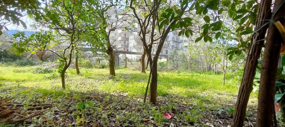 3غرفة شقة في Giffoni Valle Piana, Italy رقم 294542 2