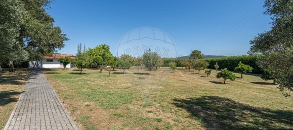 3 Schlafzimmer Haus in Braga, Portugal, Nr. 175552 11