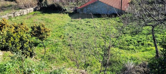 3 Schlafzimmer Haus in Castedo, Portugal, Nr. 40770 2