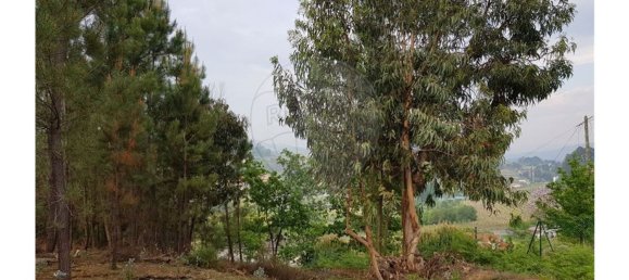 11160m² Land in Marco de Canaveses, Portugal No. 47331 5