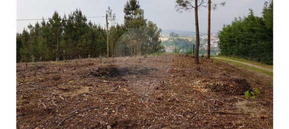 11160m² Land in Marco de Canaveses, Portugal No. 47331 4