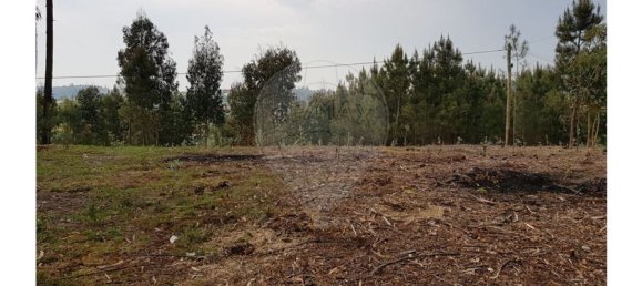 11160m² Land in Marco de Canaveses, Portugal No. 47331 3