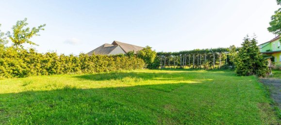 2 chambres Maison à Salzlandkreis, Germany No. 318718 6