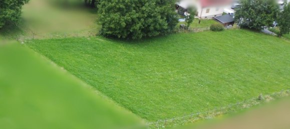  Land in Baldramsdorf, Austria No. 258457 4