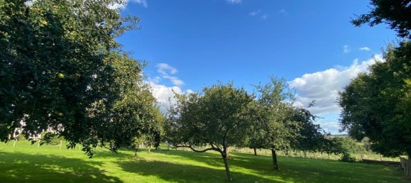 4 غرف نوم فيلا في Trizay-Coutretot-Saint-Serge, France رقم 238351 15