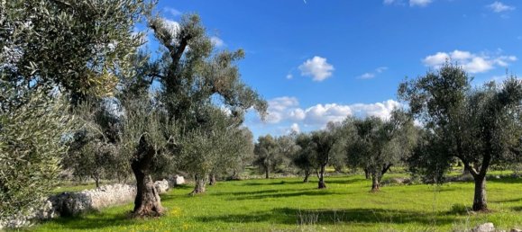 Estúdio em Ostuni, Italy N.º 63419 10