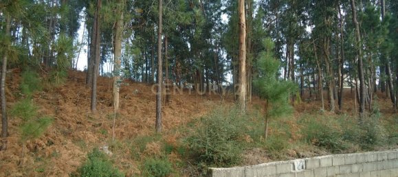 Terrain à Barcelos, Portugal 744m² No. 33583 16