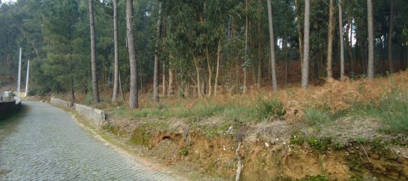 Terrain à Barcelos, Portugal 744m² No. 33583 10